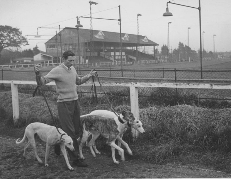 Boundary_man_with_greyhounds1small