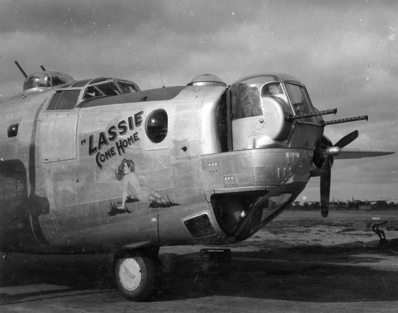 AZON_Orig Lassie Come Home_WILLIAM CASE